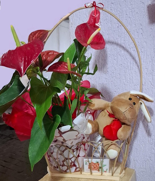 0d66d1fc-37cf-43c3-9052-ebd60d3aa0c8