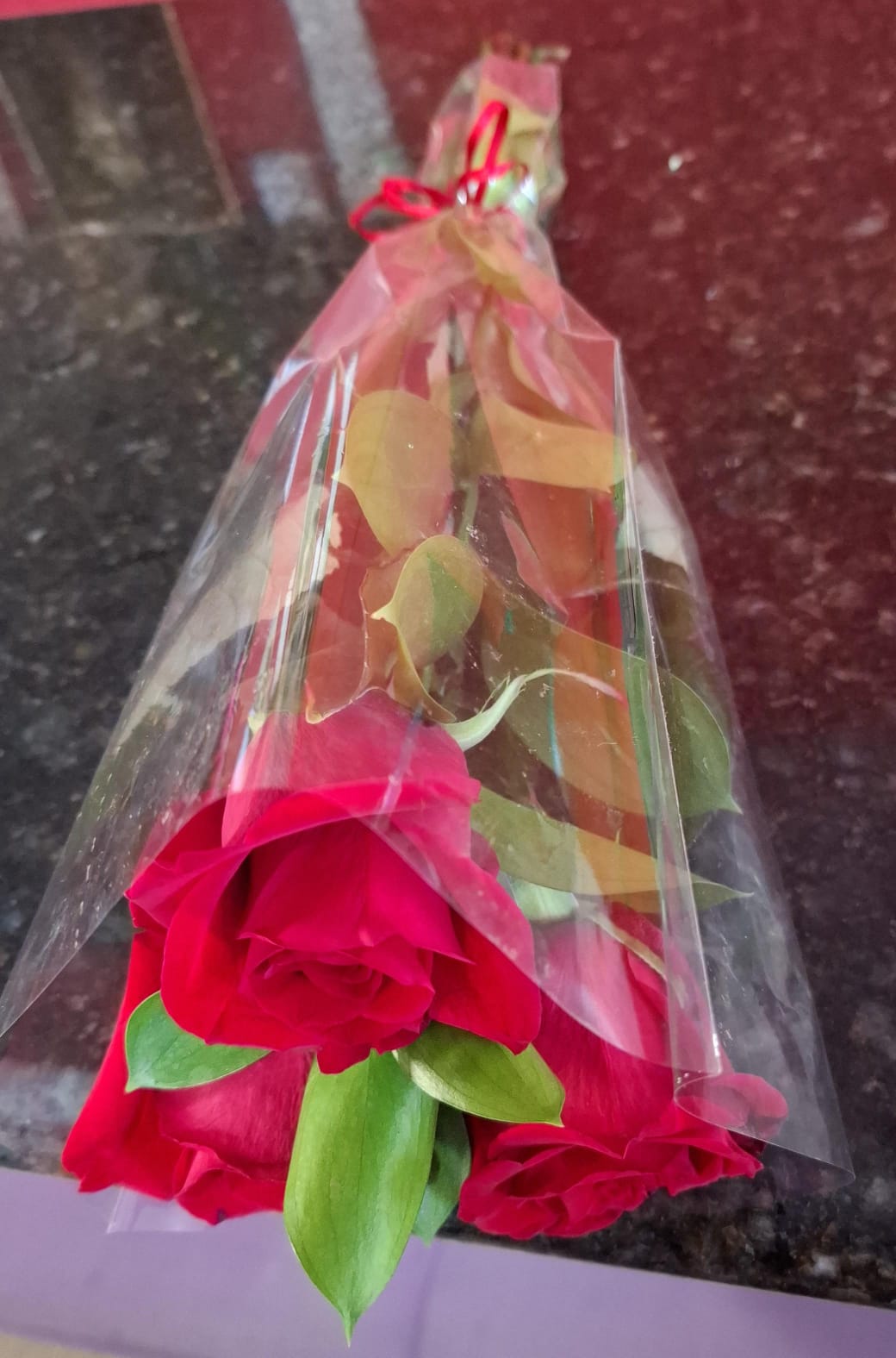 45185b50-9664-49e1-b215-847ed82c091a