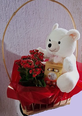 4ca0e9e8-deb3-4302-9709-ea24f1a2cfe4