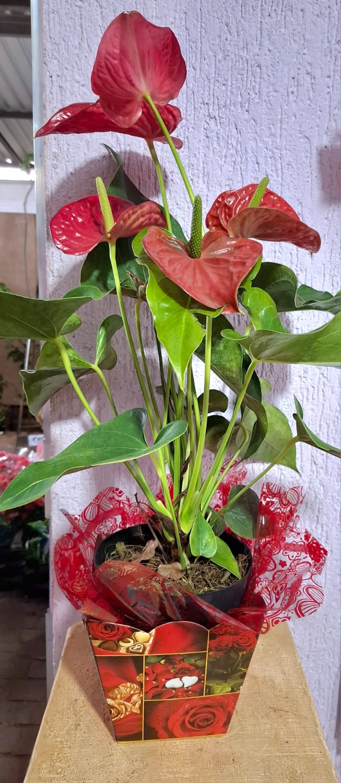 ffdac776-d754-40a6-9566-d441c3b20951